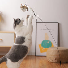 Load image into Gallery viewer, Simulation Bird interactive Cat Toy
