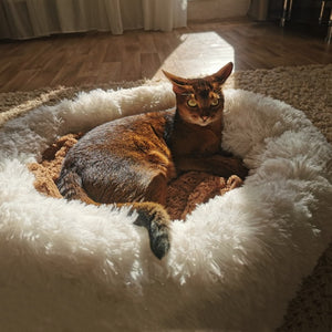 Super Soft Dog Bed