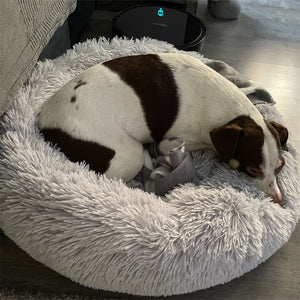 Super Soft Dog Bed