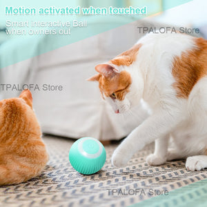 Smart Cat Toys Electric