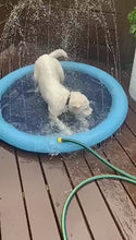Load and play video in Gallery viewer, Dog Bathtub
